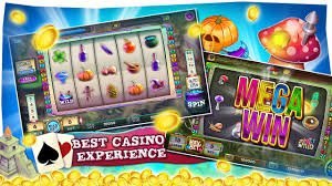 8855bet bet