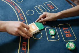 8855bet bet